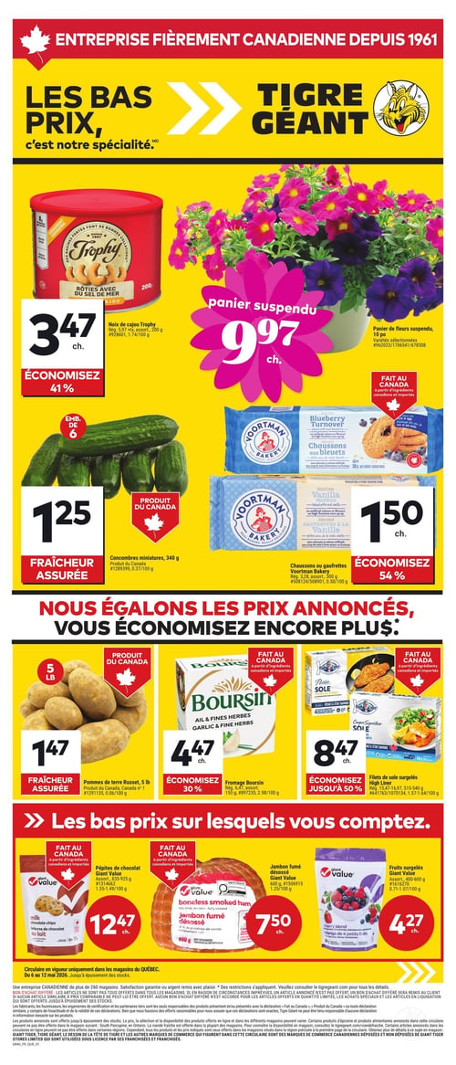 Circulaire Tigre Géant - Page 1