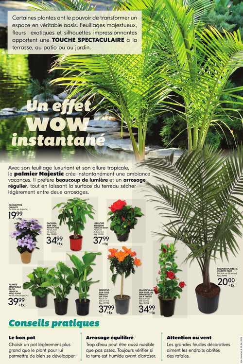 Circulaire IGA - Le jardinage simplifié pour l'été - Page 4