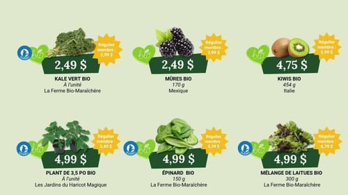 Circulaire Coop Alentour - Plus d'économies - Page 1
