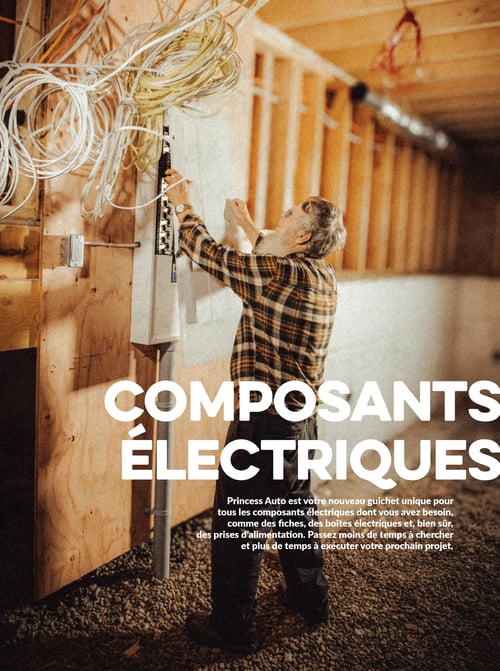 Circulaire Princess Auto - Plus pour le travail, plus pour les loisirs - Page 19