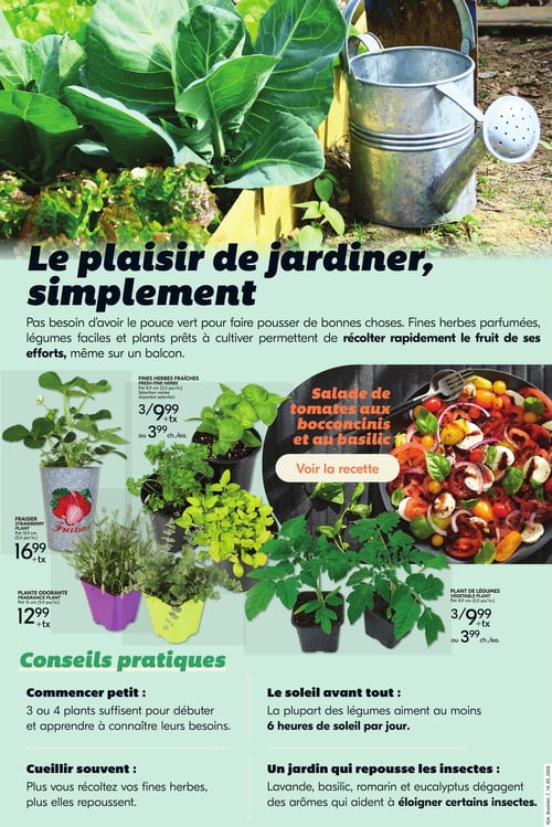 Circulaire IGA - Le jardinage simplifié pour l'été - Page 3