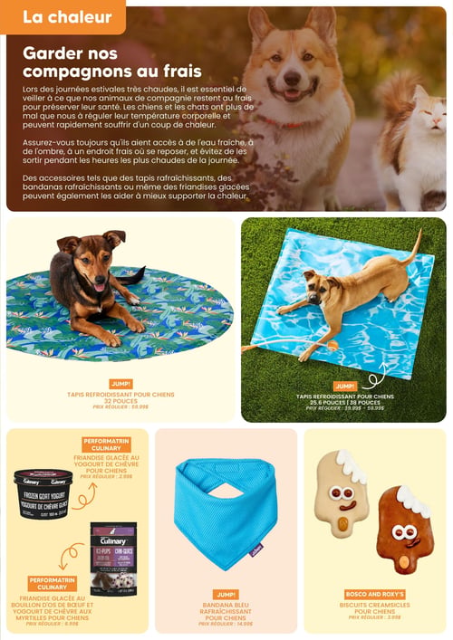 Circulaire Chico Boutique d'Animaux - Catalogue Été 2026 - Page 2