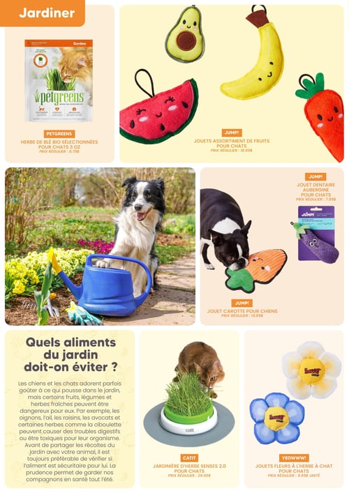 Circulaire Chico Boutique d'Animaux - Catalogue Été 2026 - Page 3
