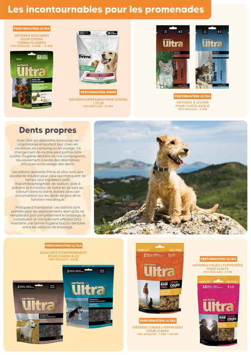 Circulaire Chico Boutique d'Animaux - Catalogue Été 2026 - Page 8