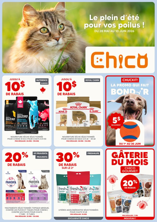 Circulaire Chico Boutique d'Animaux - Page 1