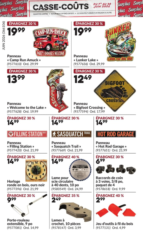 Circulaire Princess Auto - Casse-Coûts - Page 17
