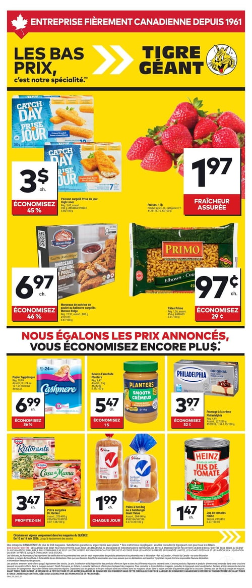 Circulaire Tigre Géant - Page 1