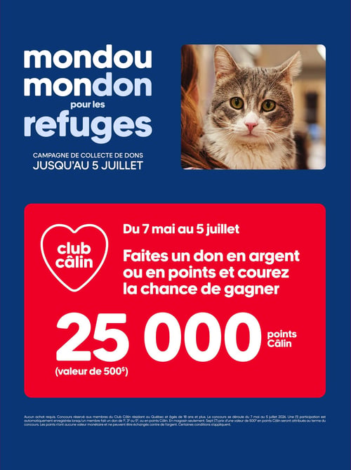 Circulaire Mondou - Page 4