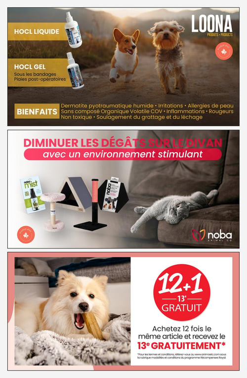 Circulaire Animo etc - Page 8