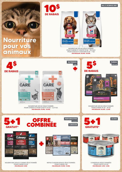 Circulaire Chico Boutique d'Animaux - Page 2