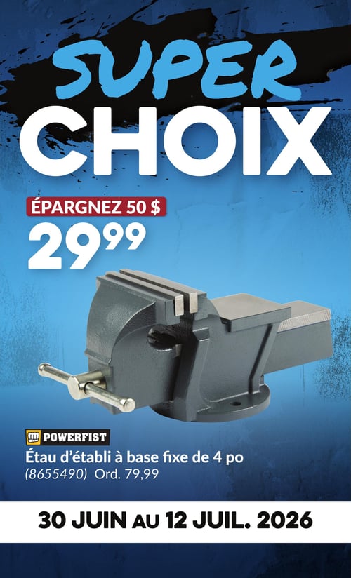 Circulaire Princess Auto - Page 3