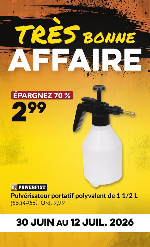 Circulaire Princess Auto - Page 4