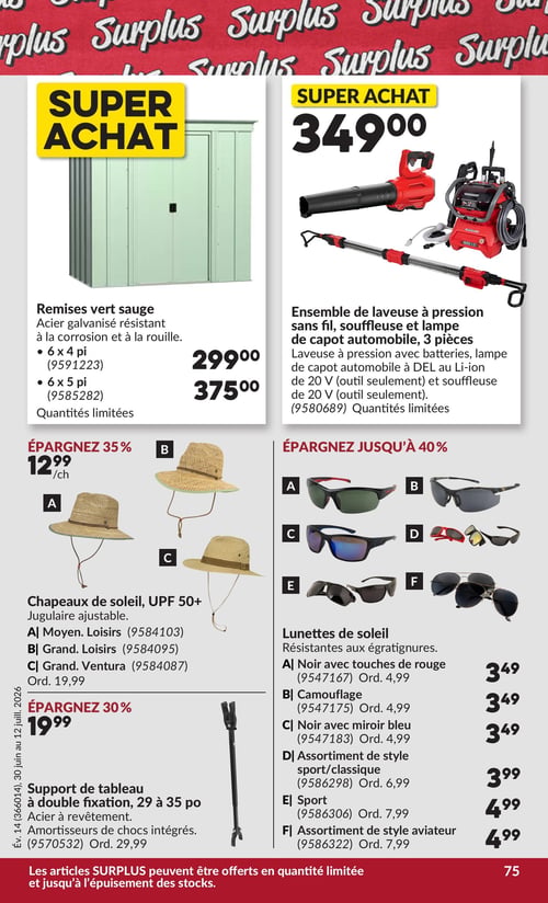 Circulaire Princess Auto - Page 80
