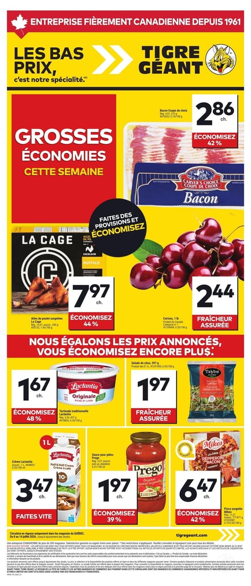 Circulaire Tigre Géant - Page 1