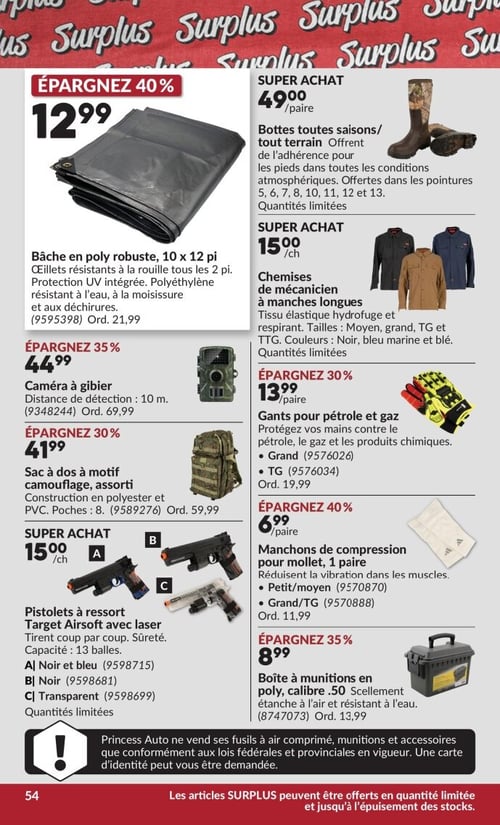 Circulaire Princess Auto - Page 61