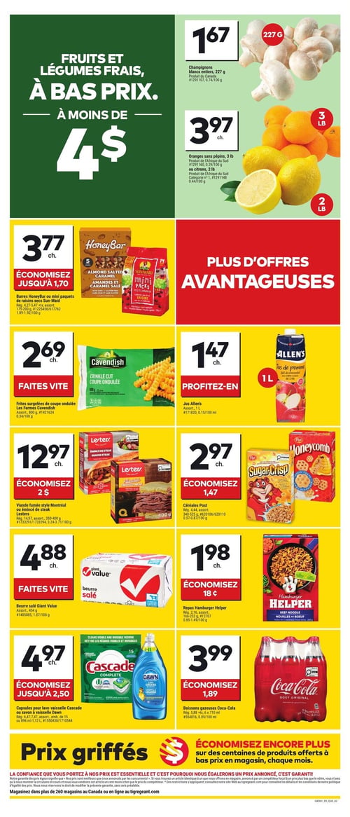 Circulaire Tigre Géant - Page 2