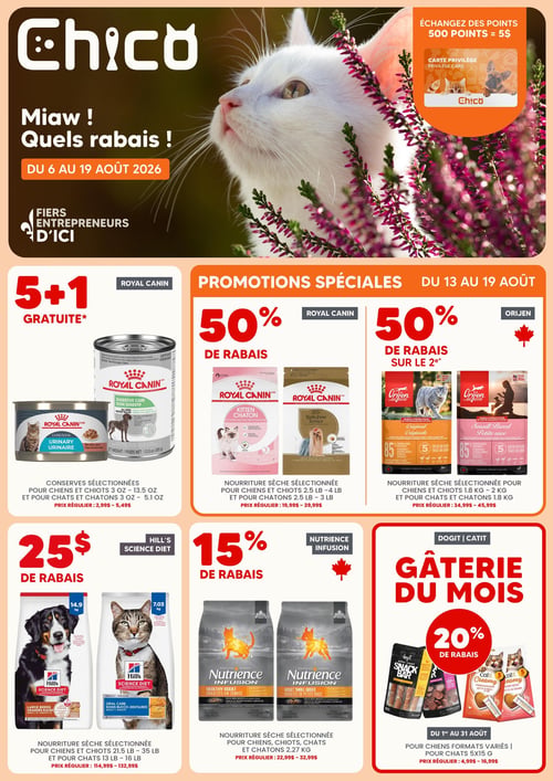 Circulaire Chico Boutique d'Animaux - Page 1
