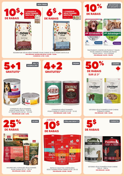 Circulaire Chico Boutique d'Animaux - Page 2
