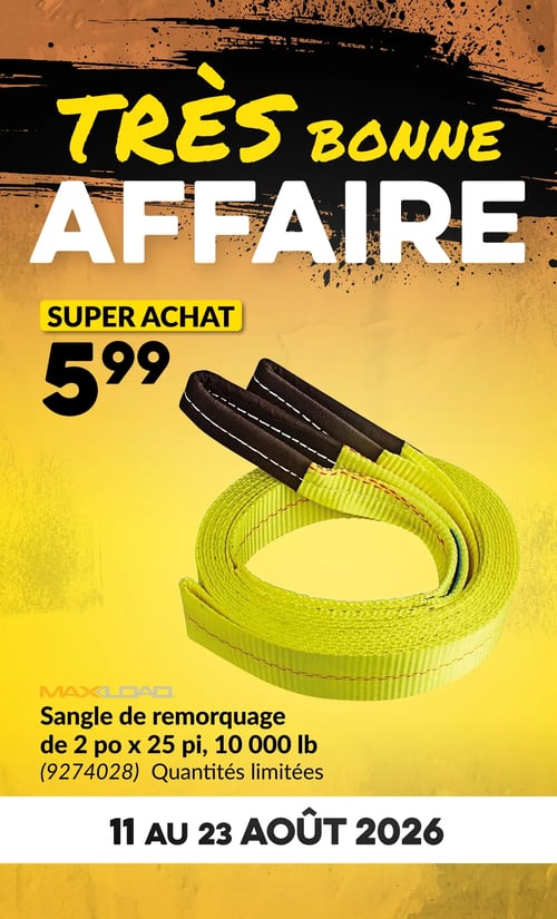 Circulaire Princess Auto - Page 3