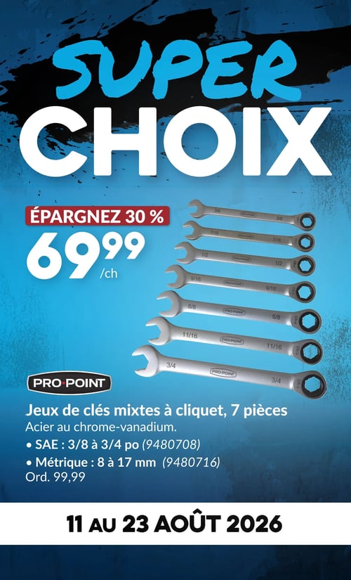 Circulaire Princess Auto - Page 4