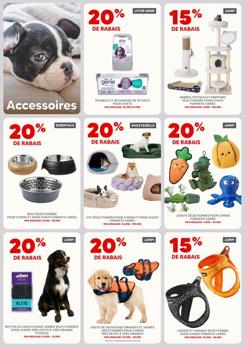 Circulaire Chico Boutique d'Animaux - Page 2