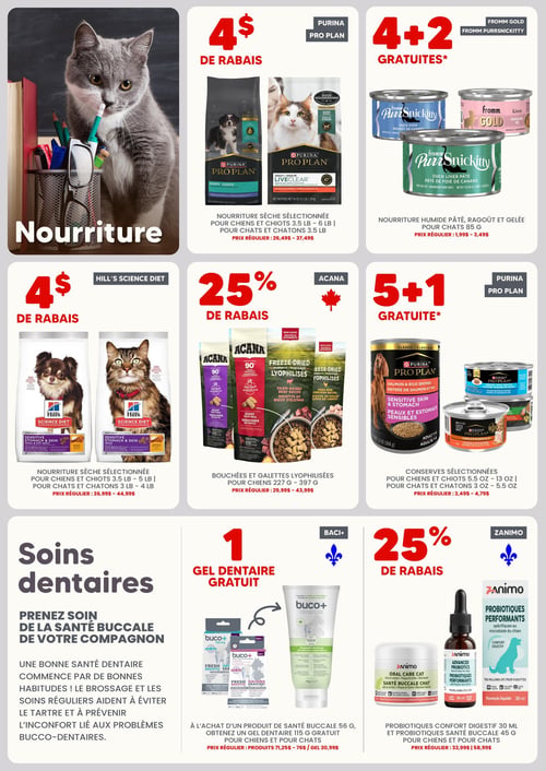 Circulaire Chico Boutique d'Animaux - Page 3