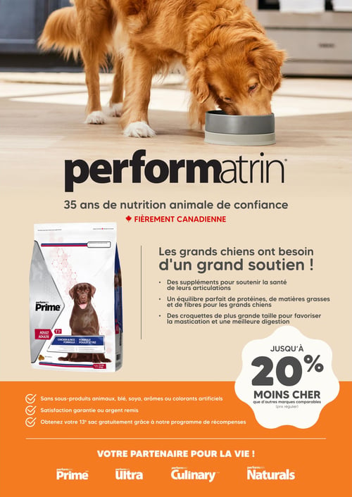 Circulaire Chico Boutique d'Animaux - Page 4