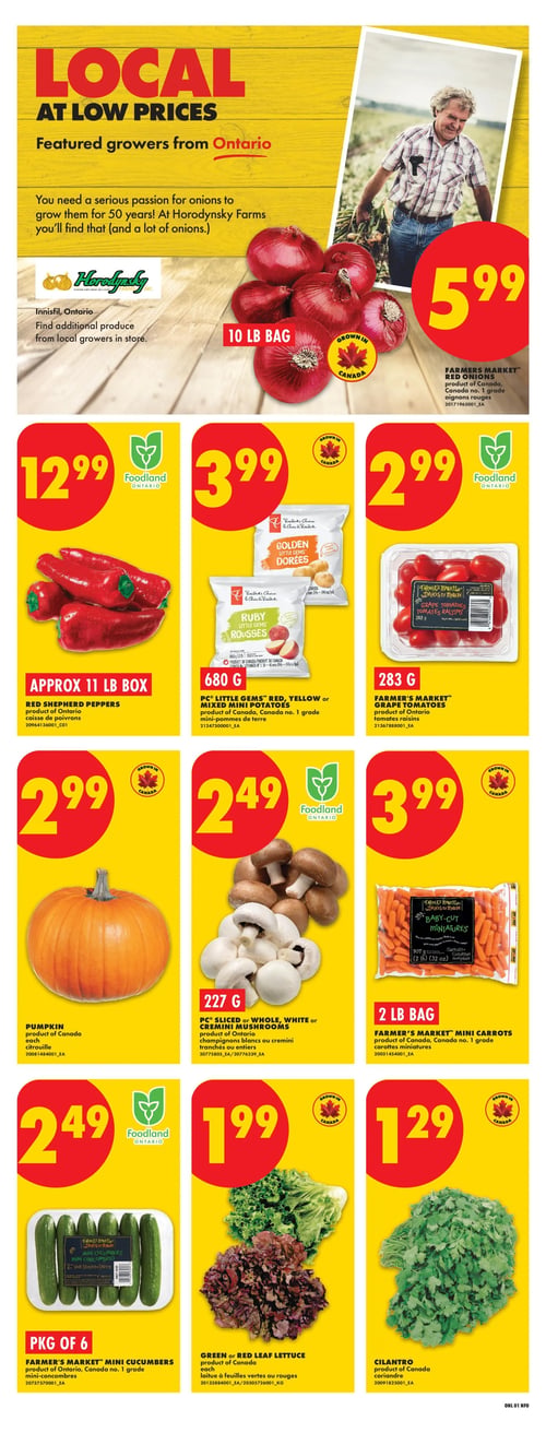 Circulaire No Frills Flyer - Page 3