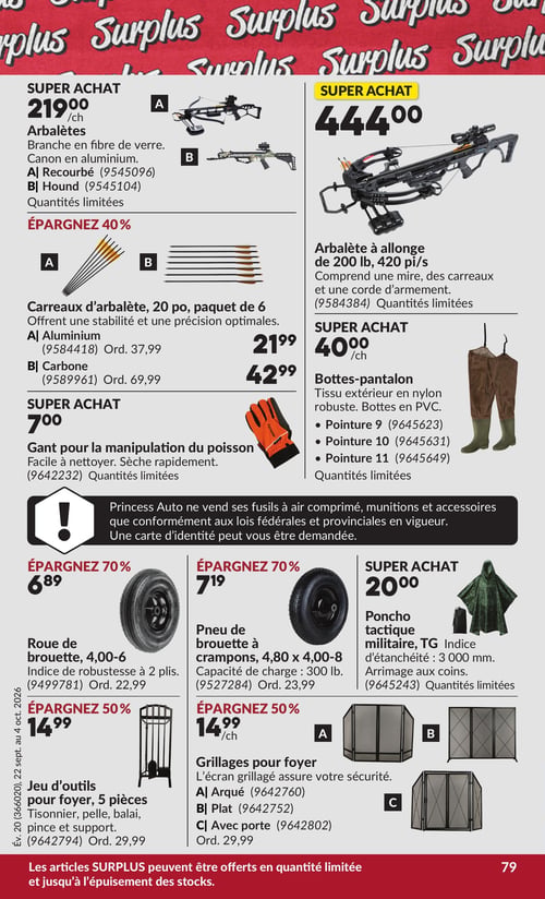 Circulaire Princess Auto - Page 87