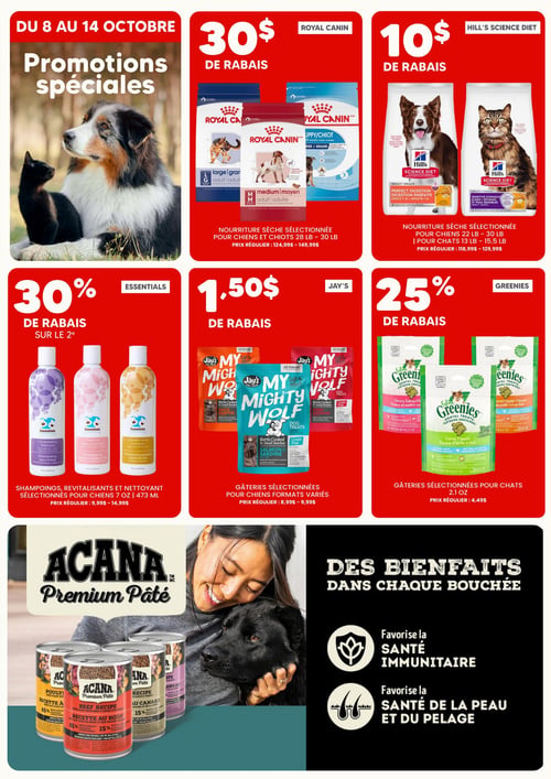 Circulaire Chico Boutique d'Animaux - Page 2
