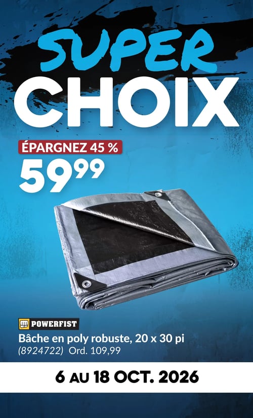Circulaire Princess Auto - Page 3