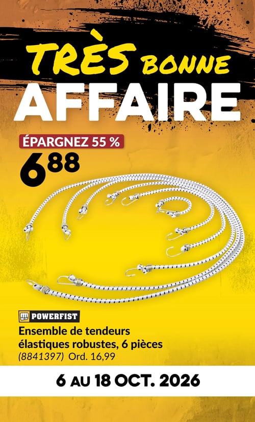 Circulaire Princess Auto - Page 4