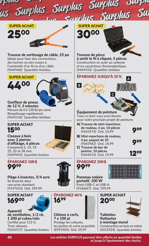 Circulaire Princess Auto - Page 48