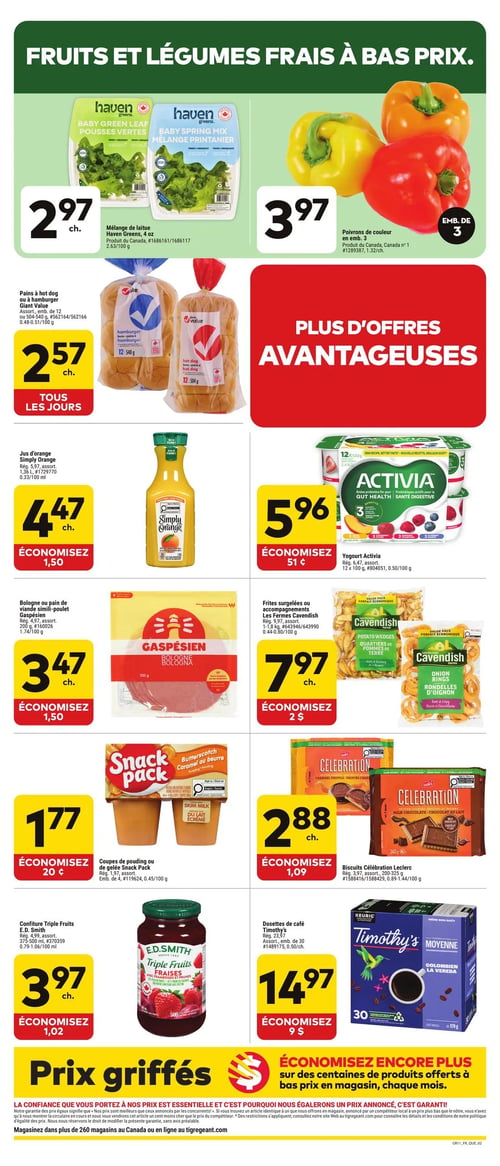 Circulaire Tigre Géant - Page 2