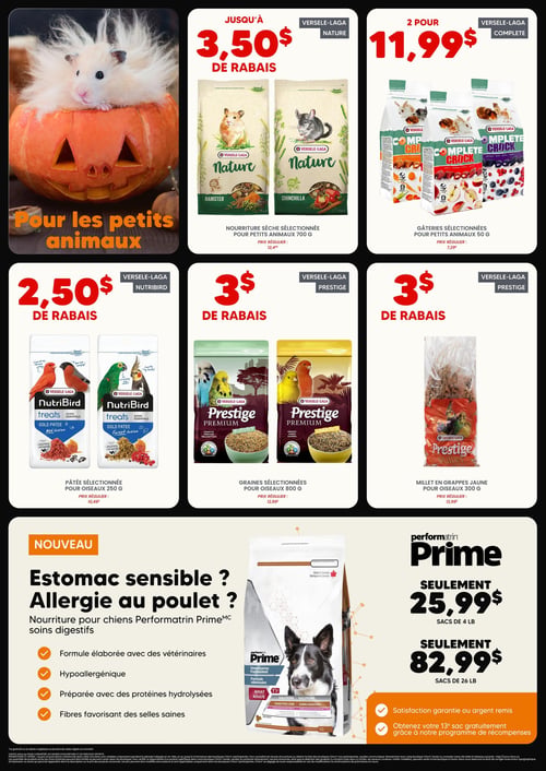 Circulaire Chico Boutique d'Animaux - Page 5