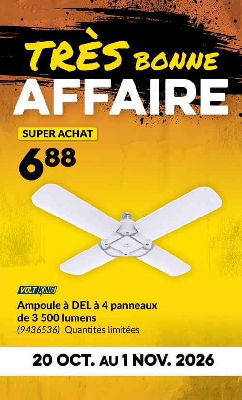 Circulaire Princess Auto - Page 4