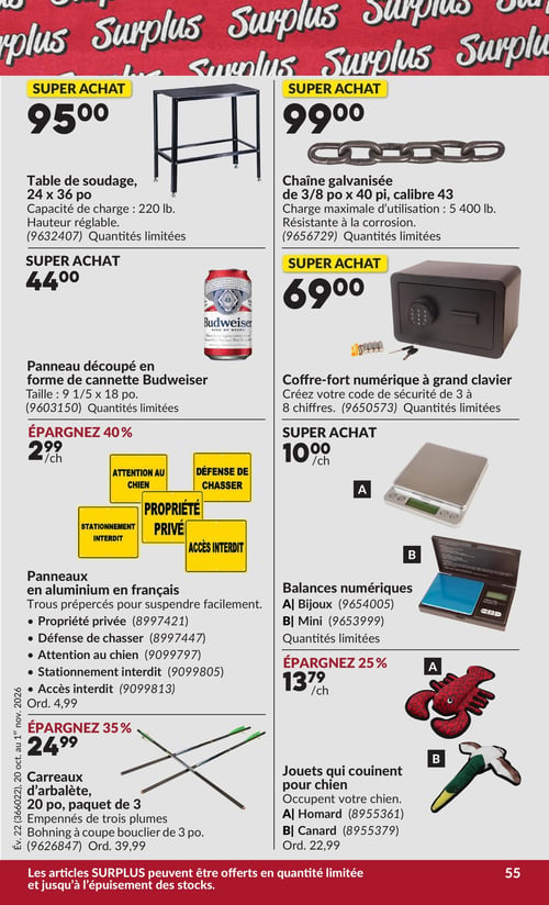 Circulaire Princess Auto - Page 61