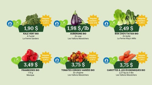 Circulaire Coop Alentour - Plus d'économies - Page 1
