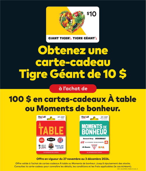 Circulaire Tigre Géant - Aubaines du Vendredi Fou - Page 21