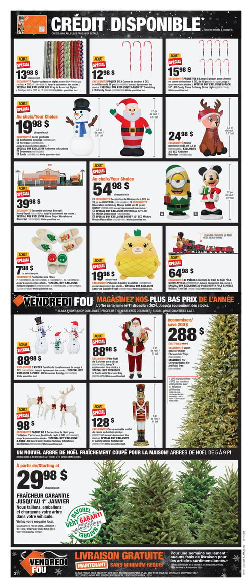 Circulaire Home Depot - Vendredi Fou - Page 3