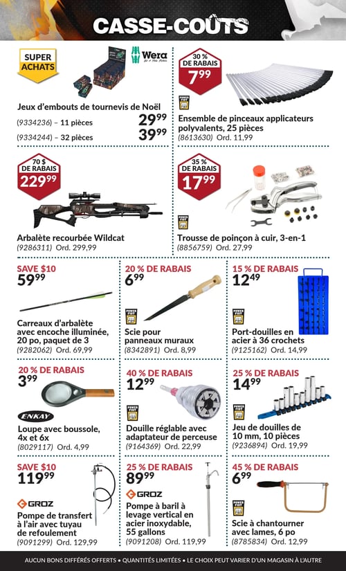 Circulaire Princess Auto - Casse-Coûts - Page 29