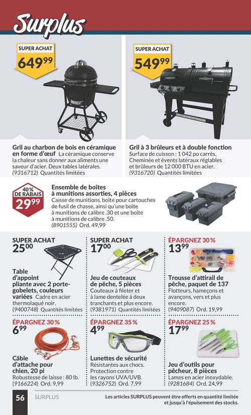 Circulaire Princess Auto - Économies du Printemps - Page 62