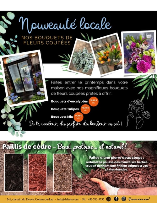 Circulaire Centre de Jardin Del Esta - Page 7