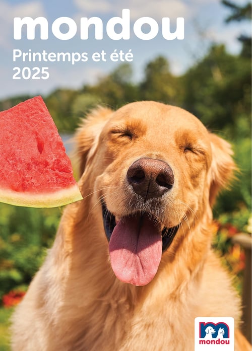 Circulaire Mondou - Printemps et Été 2025 - Page 1