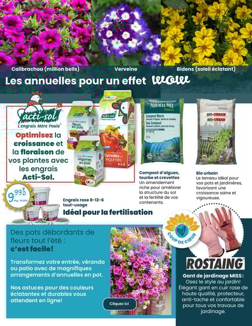 Circulaire Fred Lamontagne - Page 2