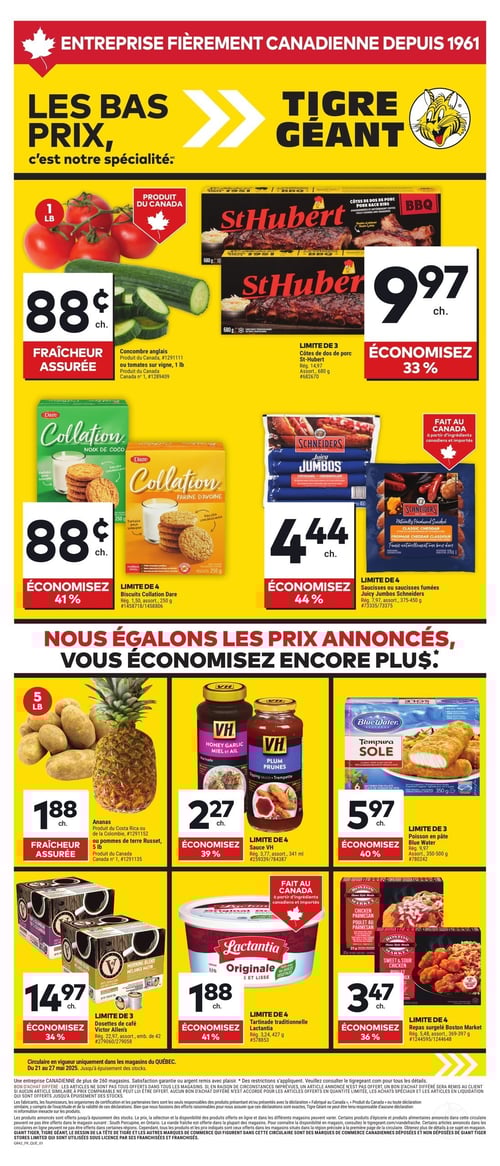 Circulaire Tigre Géant - Page 1