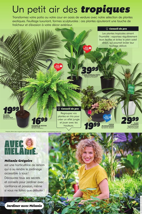 Circulaire IGA - Espace Jardin - Page 2