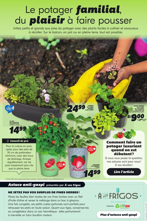 Circulaire IGA - Espace Jardin - Page 3