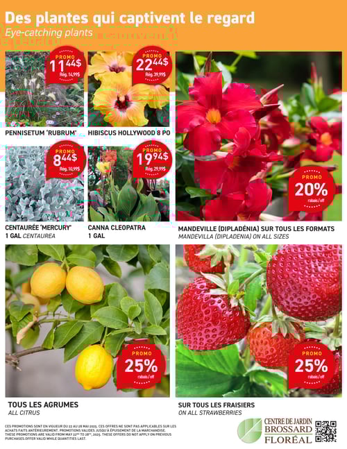 Circulaire Centre de Jardin Floréal - Page 2