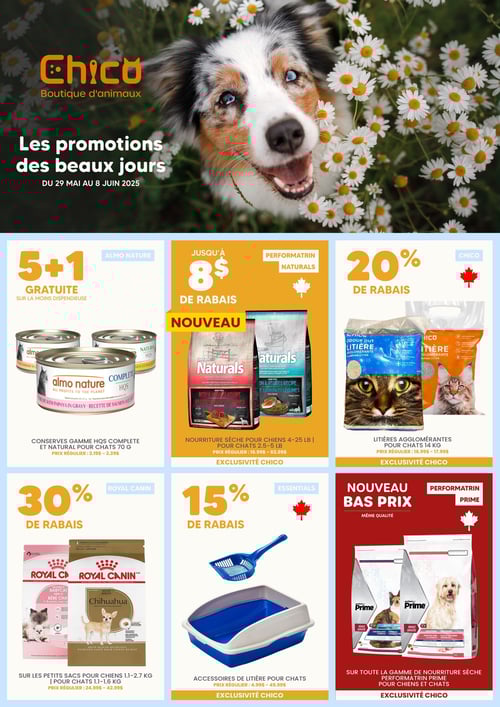 Circulaire Chico Boutique d'Animaux - Page 1